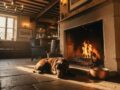 The Best Dog Friendly Pubs in Tetbury: A Local’s Guide to Lunching with Your Hound